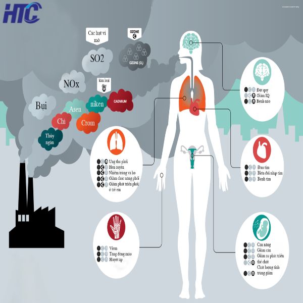 Ảnh hưởng của khí thải độc hại với con người 